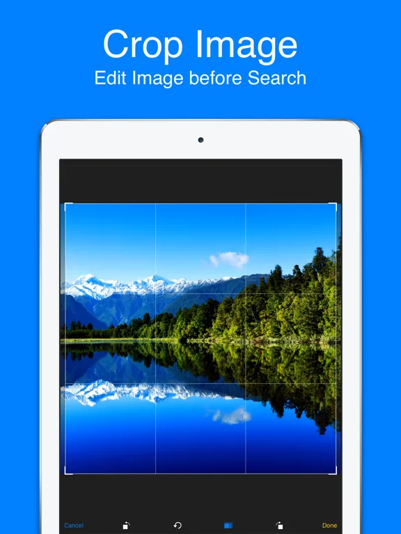 Reverse Image Search & AI Lens screenshot 3