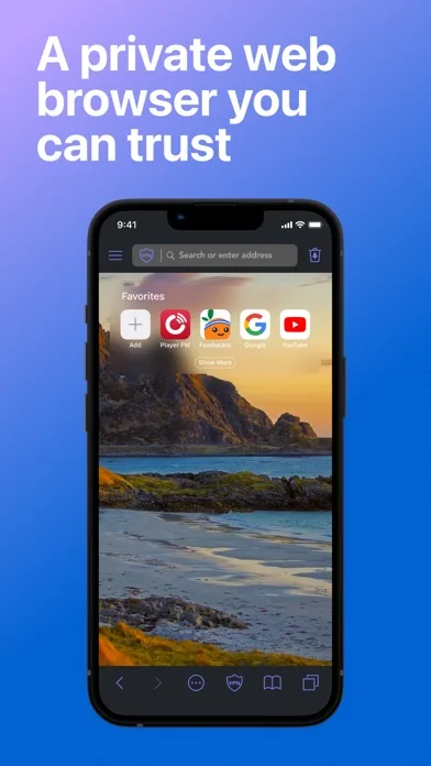 Private Browser Deluxe screenshot 1