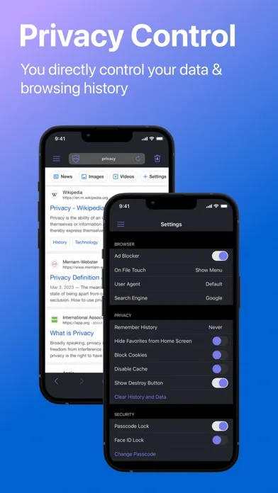 Private Browser Deluxe screenshot 3