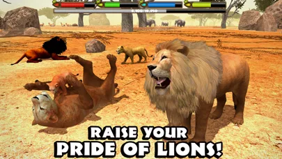 Ultimate Lion Simulator screenshot 3