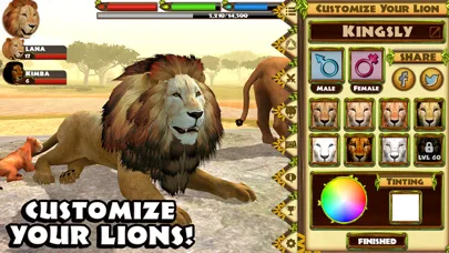 Ultimate Lion Simulator screenshot 5