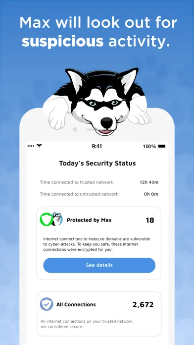 Phone Guardian Safe Mobile VPN screenshot 3