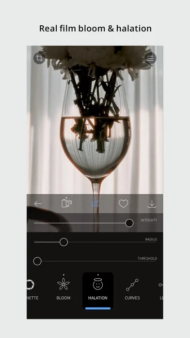 RNI Films: Photo & RAW Editor screenshot 3