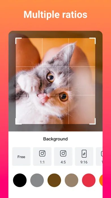 Slideshow Maker (SlidePlus) screenshot 3