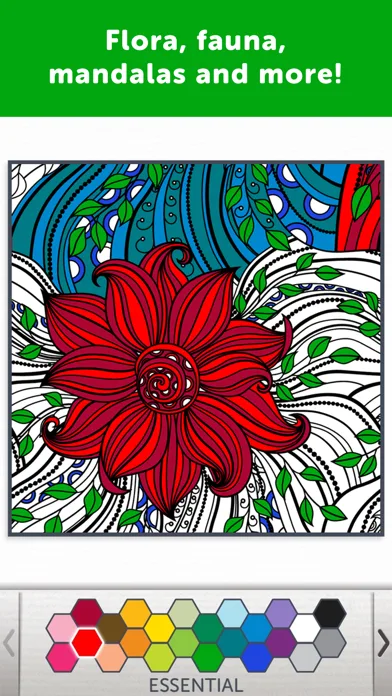Adult Coloring Book - Coloring Book for Adults screenshot 3