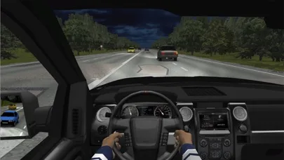 Traffic Cop Simulator 3D screenshot 3