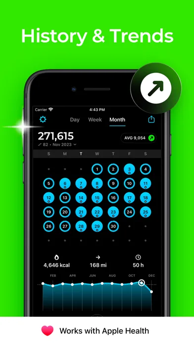StepsApp Pedometer screenshot 3
