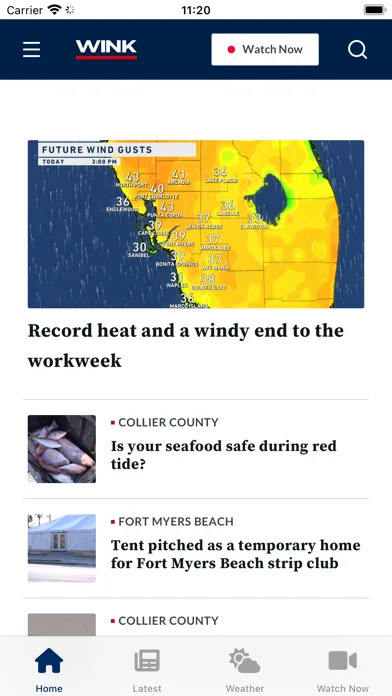 WINK News screenshot 1