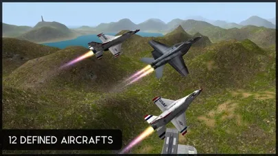 Avion Flight Simulator ™ screenshot 2