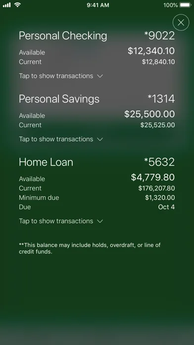 Bank of Greene County screenshot 1