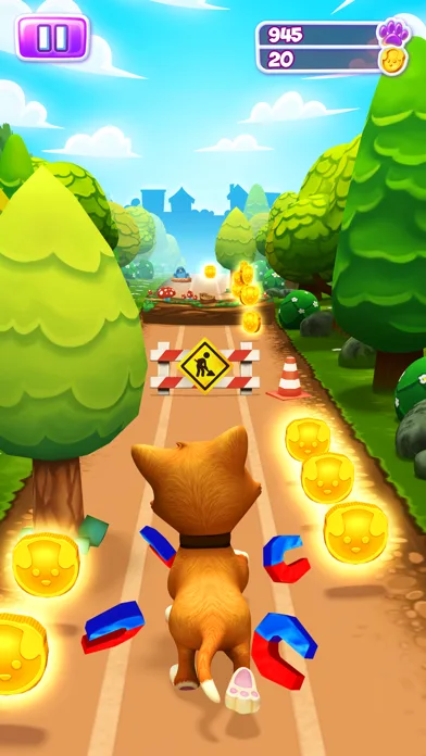 Pet Run - Puppy Dog Run Game screenshot 1