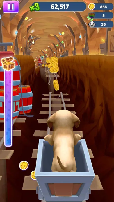 Pet Run - Puppy Dog Run Game screenshot 3