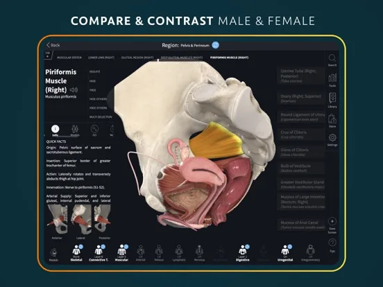 Complete Anatomy for iPad screenshot 5