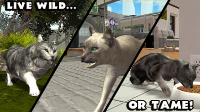 Ultimate Cat Simulator screenshot 3