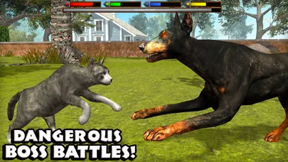 Ultimate Cat Simulator screenshot 5