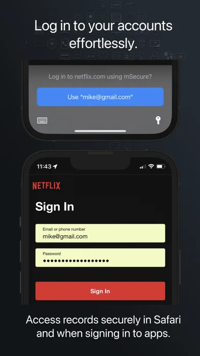 Password Manager - mSecure screenshot 4