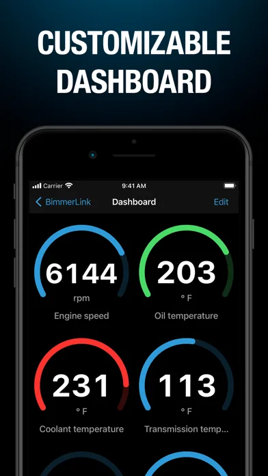 BimmerLink screenshot 1