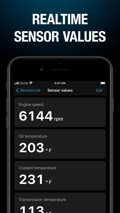 BimmerLink screenshot 2