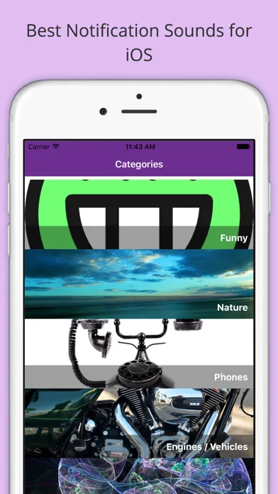 Notification Sounds Ringtones screenshot 1