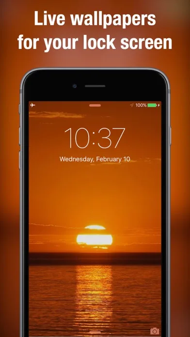 Live Wallpapers & Backgrounds+ screenshot 5