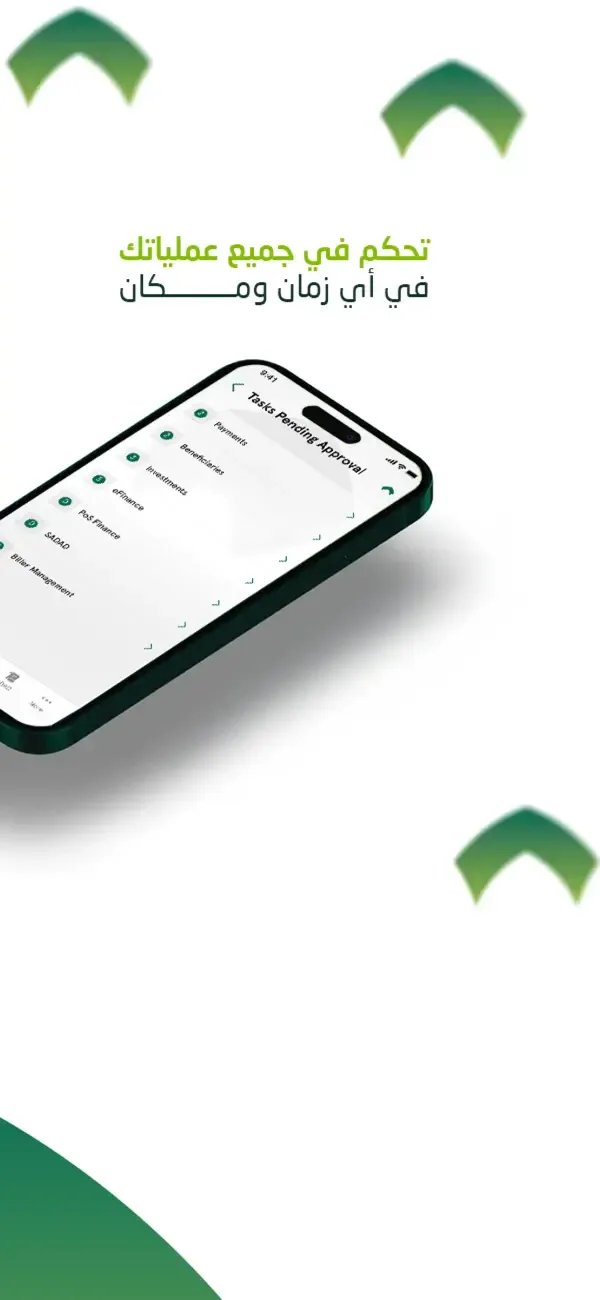 SNB eCorp screenshot 4