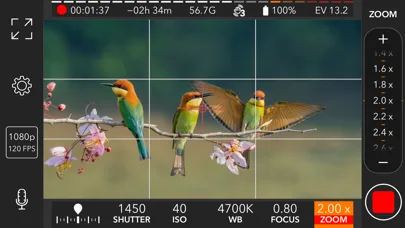 ProMovie Recorder screenshot 3