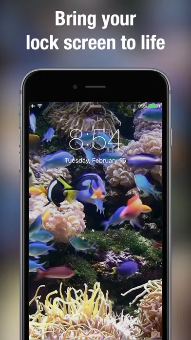 Dynamic wallpapers & themes screenshot 2