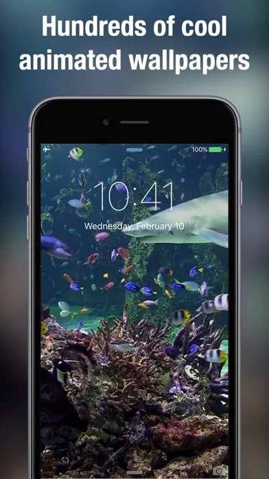 Dynamic wallpapers & themes screenshot 4