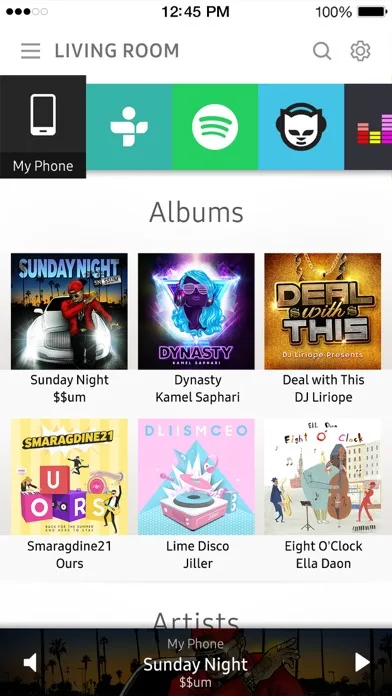 Wireless Audio : Multiroom screenshot 1