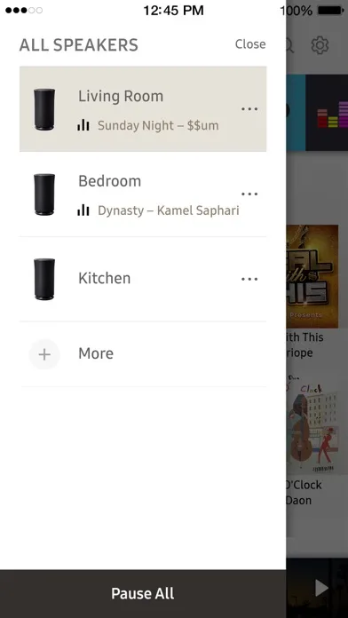 Wireless Audio : Multiroom screenshot 4