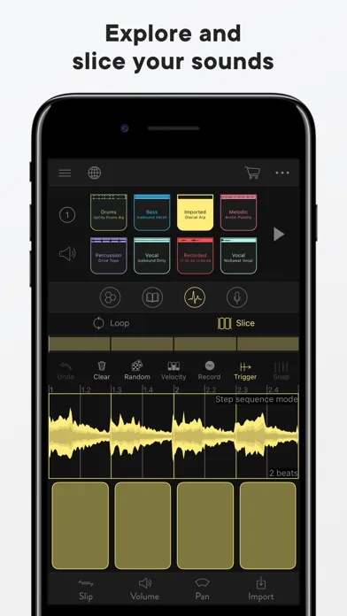 Blocs Wave: Record Music Live screenshot 2