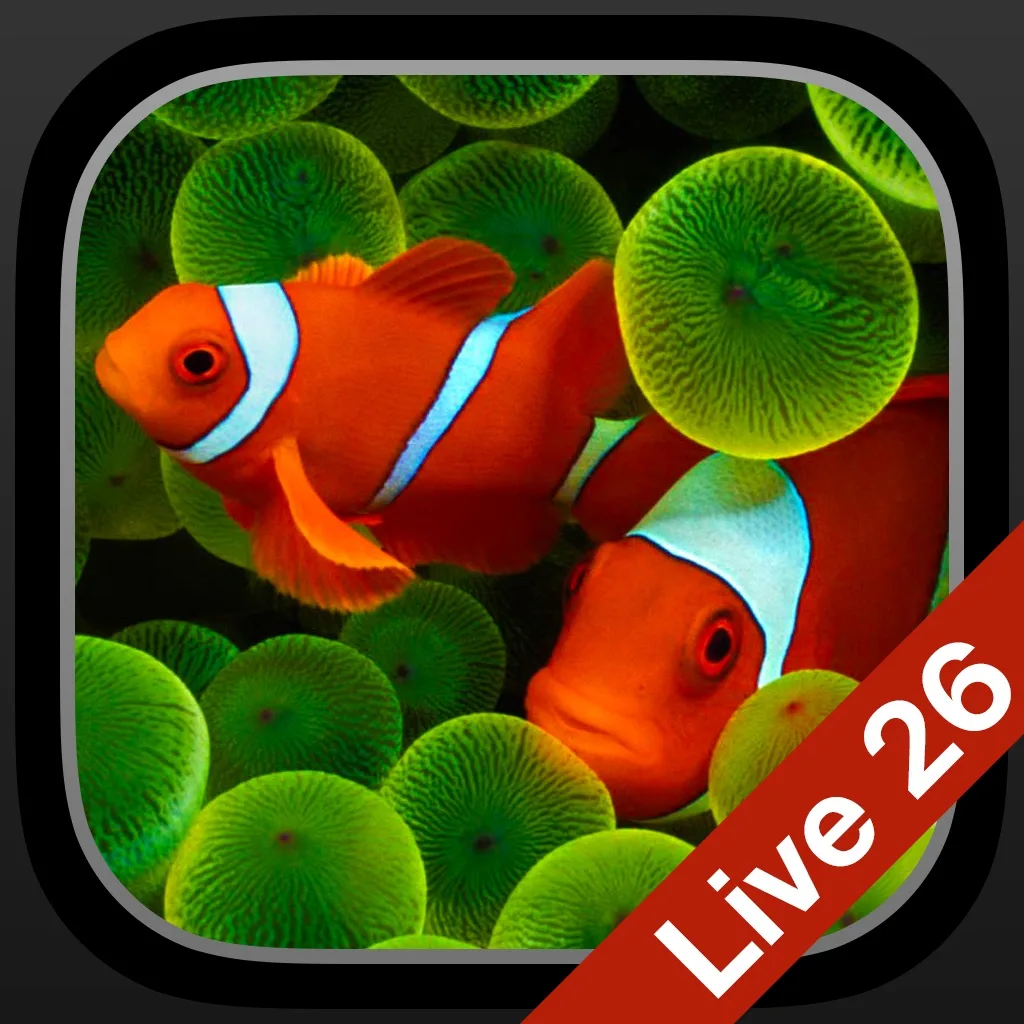 Aquarium Dynamic Wallpapers