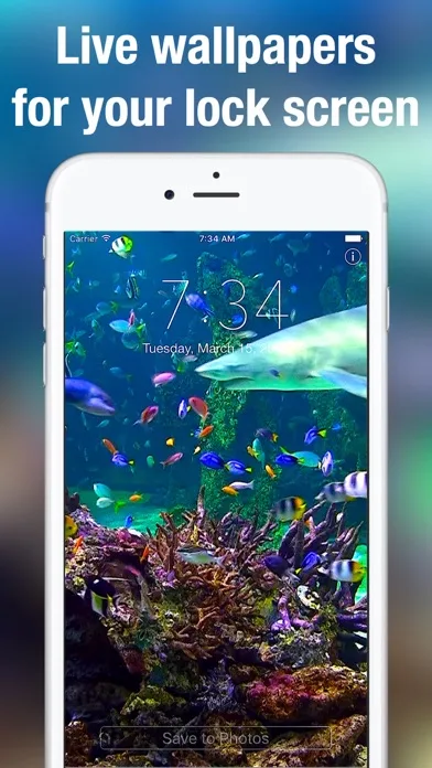 Aquarium Dynamic Wallpapers screenshot 1