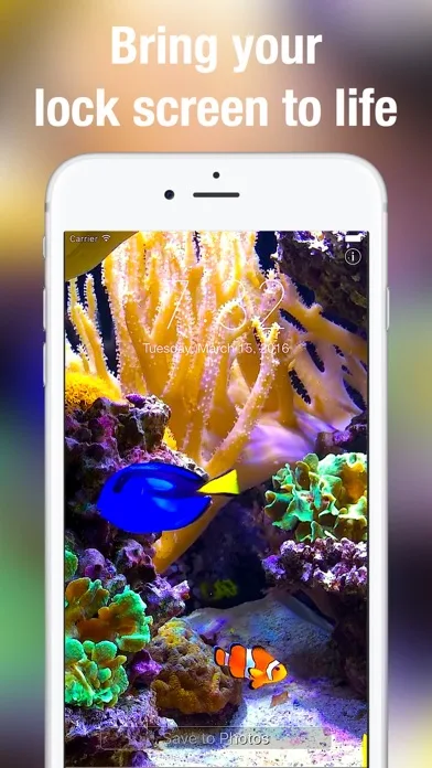 Aquarium Dynamic Wallpapers screenshot 2