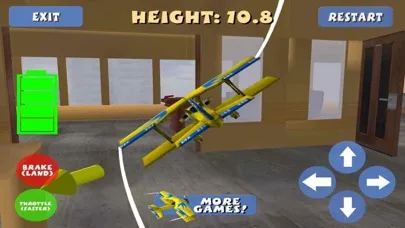 Flight Simulator: RC Plane 3D screenshot 2