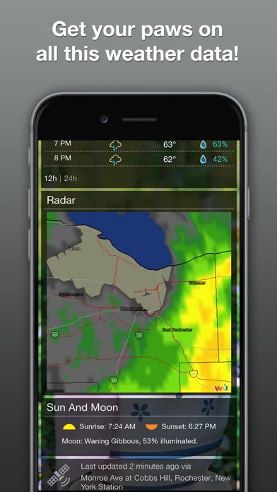 Lil BUB Cat Weather Report screenshot 5