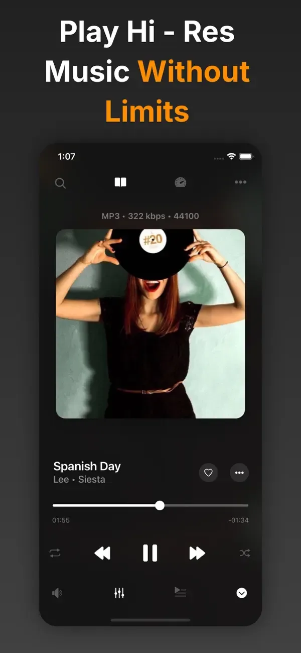 Flacbox: Hi-Res Music Player screenshot 1
