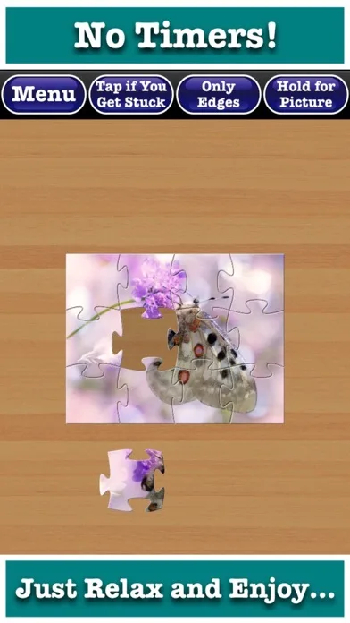 Mess Free Jigsaw Puzzles screenshot 4