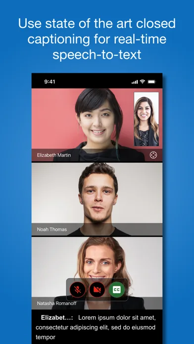 VidyoConnect screenshot 2