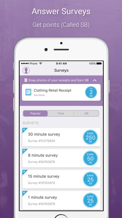 SB Answer screenshot 2
