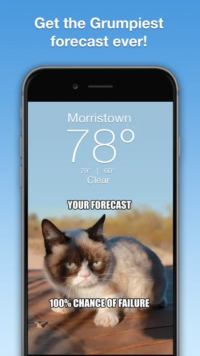 Grumpy Cat's Funny Weather screenshot 1