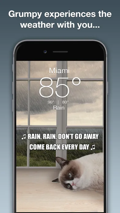 Grumpy Cat's Funny Weather screenshot 2