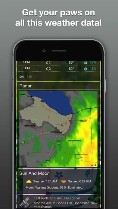 Grumpy Cat's Funny Weather screenshot 5