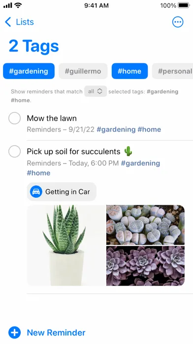 Reminders screenshot 3