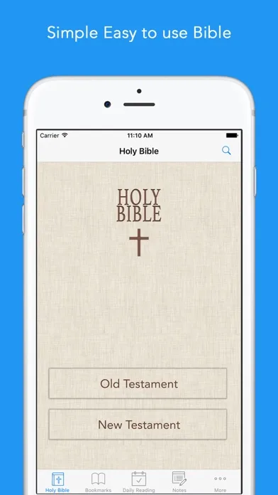 Bible in Basic English ( BBE ) screenshot 1
