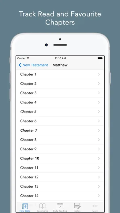 Bible in Basic English ( BBE ) screenshot 4