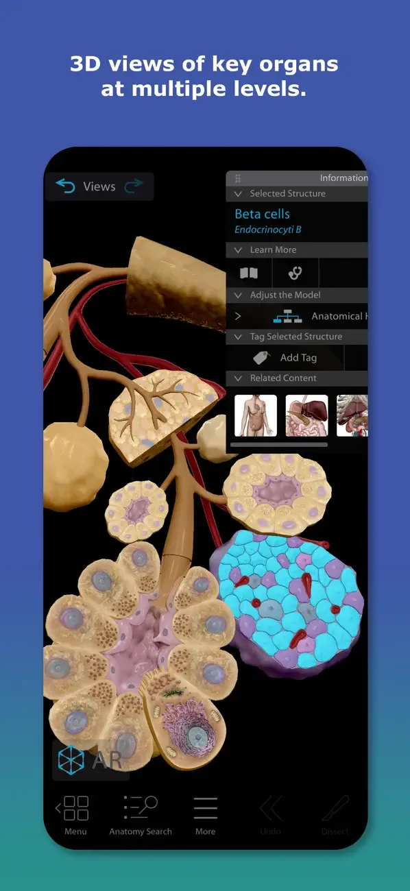Human Anatomy Atlas 2026 screenshot 2