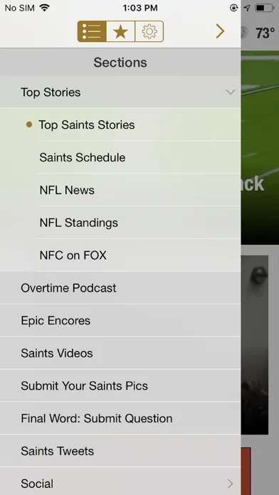 Final Play: Saints News screenshot 3