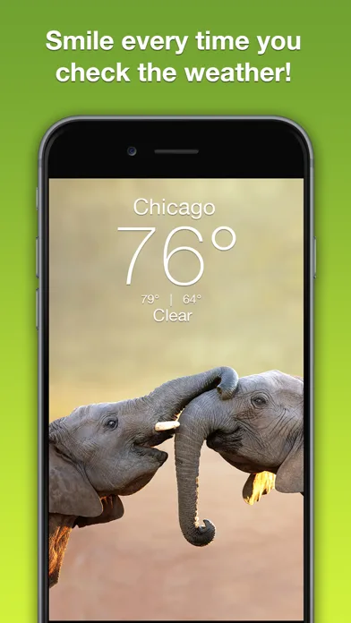 Wildlife Wallpaper Weather screenshot 1