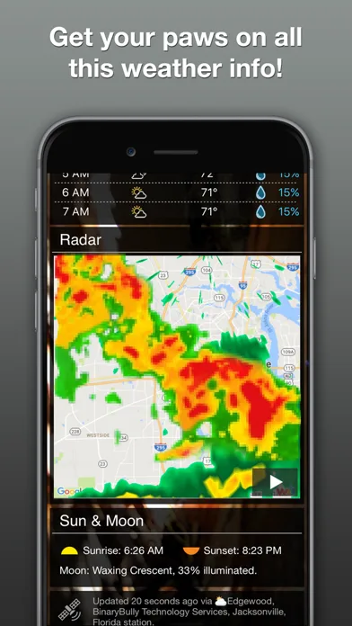 Wildlife Wallpaper Weather screenshot 3